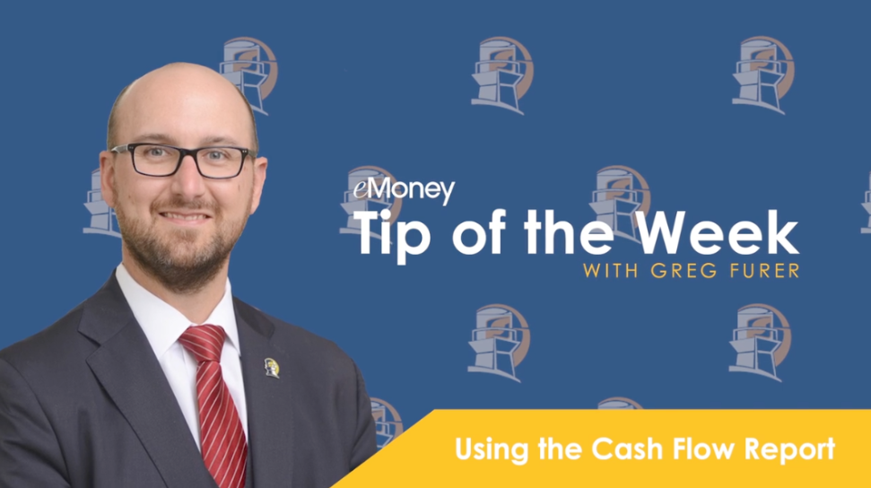 Using the Cash Flow Report